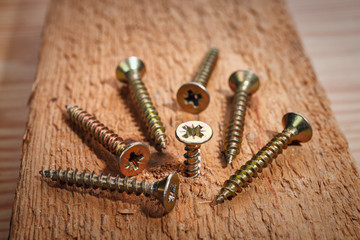 screws on wood background
