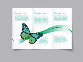 Vector art graphic illustration of brochure design