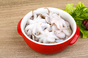 Raw baby octopus