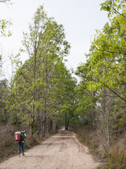 Obraz premium Landscape, Phukadung National park, Thailand