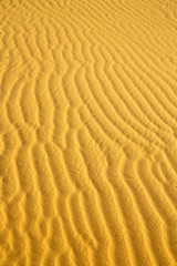 the brown sand dune in desert