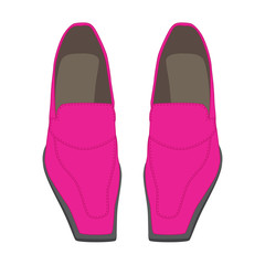 Female shoes on a white background 