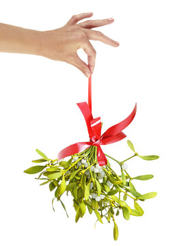 A Hand Holding Christmas Mistletoe