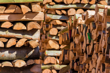 Umgeschnittene Baumstämme