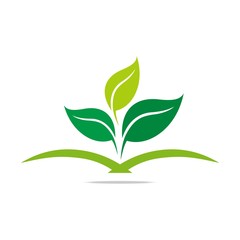 Logo leaves mashed drugs organic product icon