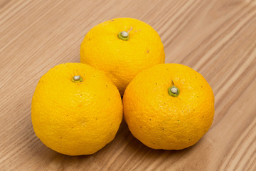 黄柚子