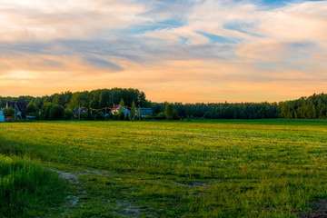 Fototapeta na wymiar beautiful green field at sunset in the spring