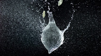 Popping water balloon on black background shooting with high speed camera, phantom flex. - Powered by Adobe
