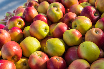 Fresh colorful apples at an outdoor market