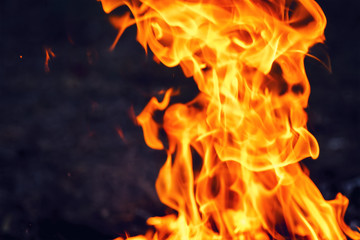 Fototapeta premium Fire in the dark copyspace