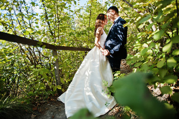 Very sensual and gorgeus wedding couple on the picturesque lands