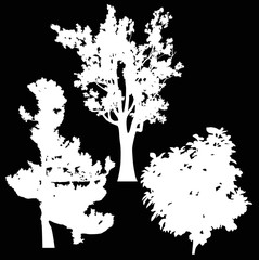 three different trees silhouettes isolated on black