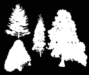 four coniferous trees silhouettes isolated on black