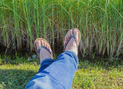 male feet on the paddy rice field