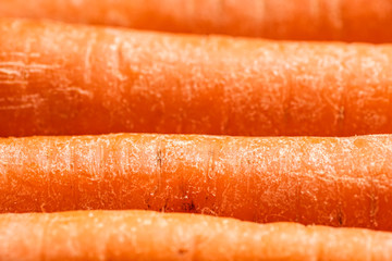 Fresh organic Carrots
