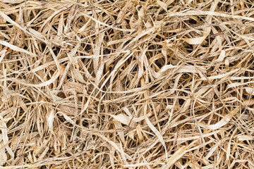 Dried brown grass leaves on the floor texture background