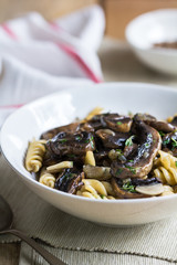 Pasta with mushroom and herb sauce