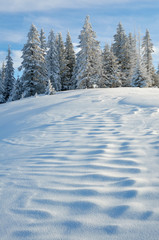 Landscape with snow in winter
