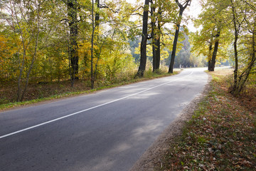 Fototapeta premium a sharp turn on a forest road