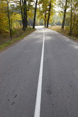 a sharp turn on a forest road