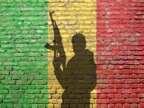 Shadow of man on flag of Mali painted brick wall