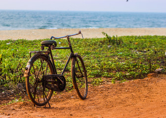 Cycle down the coast