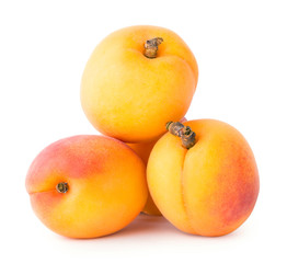 Four ripe apricots