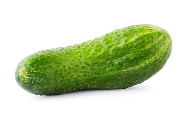 Green juicy cucumber