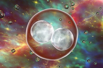 Human embryo on the stage of two cells on space background with galaxies. Elements of this image furnished by NASA