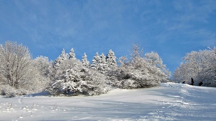 Winterlandschaft