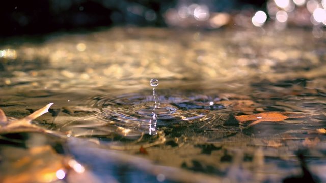 Water drop making ripple in creek shooting with high speed camera, phantom flex.