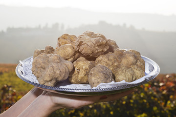 White truffles from Piedmont, Italy, placed on tray held by the hands of a woman in the background a landscape of hills with vineyards of Langhe