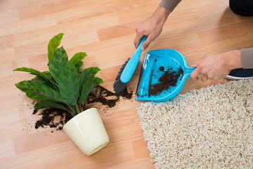 Man Cleaning Mud Spilled From Potted Plant On Floor