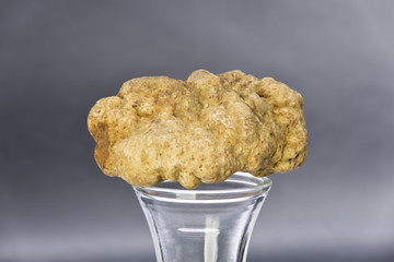 Still life of a truffle placed on the pedestal in glass on black background