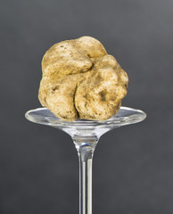 Still life of a truffle placed on the pedestal in glass on black background