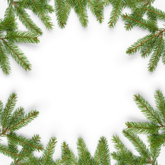 fir branches border on white background