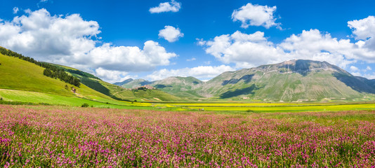 Piano Grande summer landscape, Umbria, Italy