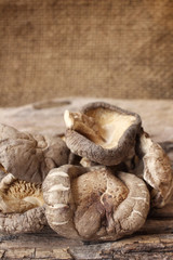 Dried shiitake mushroom