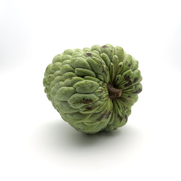 Custard Apple