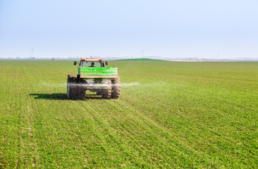 Fototapeta premium Farmer in tractor fertilizing wheat field at spring with npk
