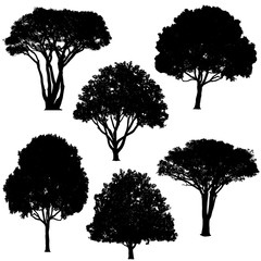 various trees in silhouette vector