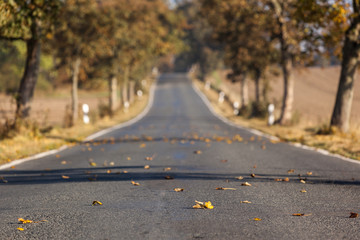 Strasse im Herbst