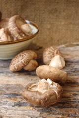 Shiitake mushroom