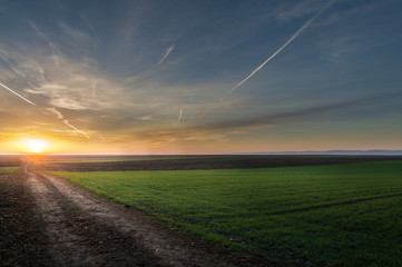 Sunrise over a field