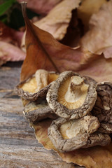 Dried shiitake mushroom