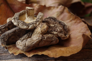 Dried shiitake mushroom