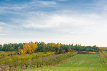 Fototapeta na wymiar Beautiful hilly meadows in autumn colors