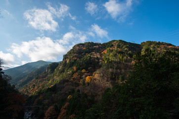 Fototapeta na wymiar Mitarai-Valley,autumn,nara(prefectures),japan （奈良＿御手洗渓谷）