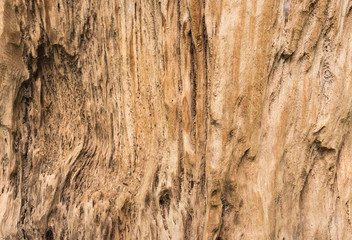 timber background