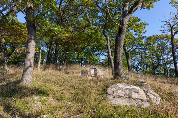 Wanderregion Thale Bodetal